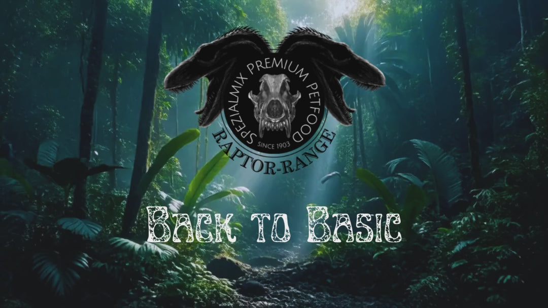 Rinderohren getrocknet, 50 Stück